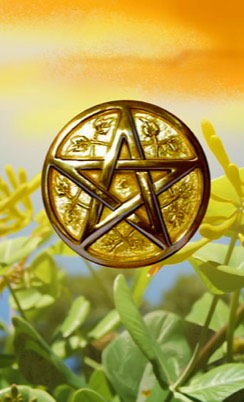 Ace of Pentacles by Mark Evans